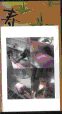 ���B�V�����C9